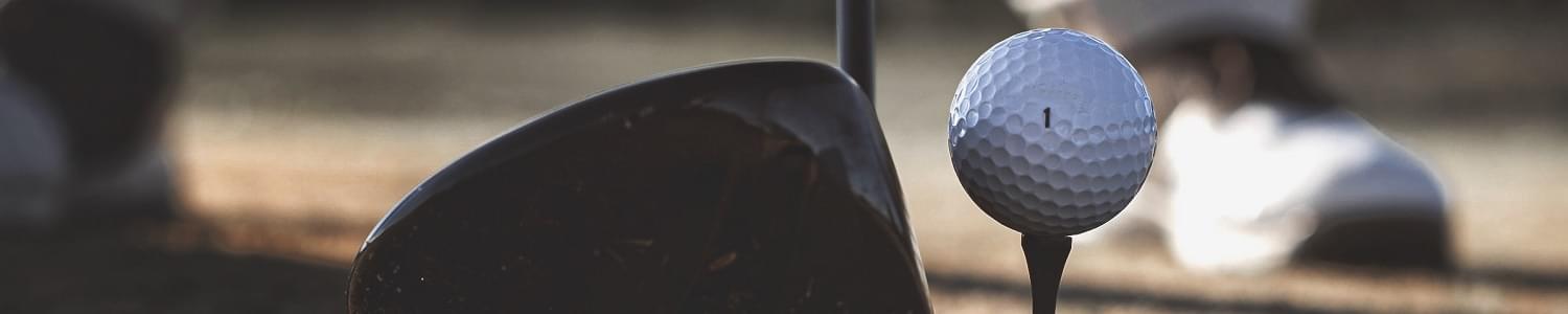 Golf coaches