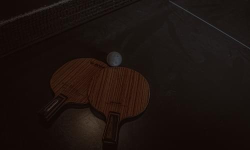 Table Tennis coaches