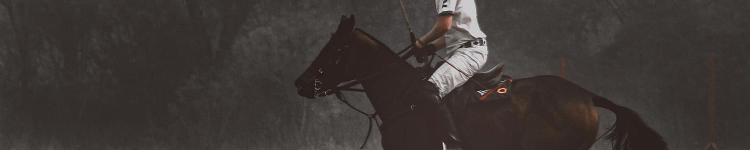 Polo coaches