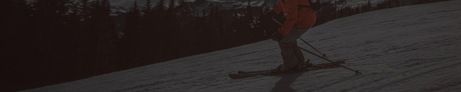 Skiing coaches